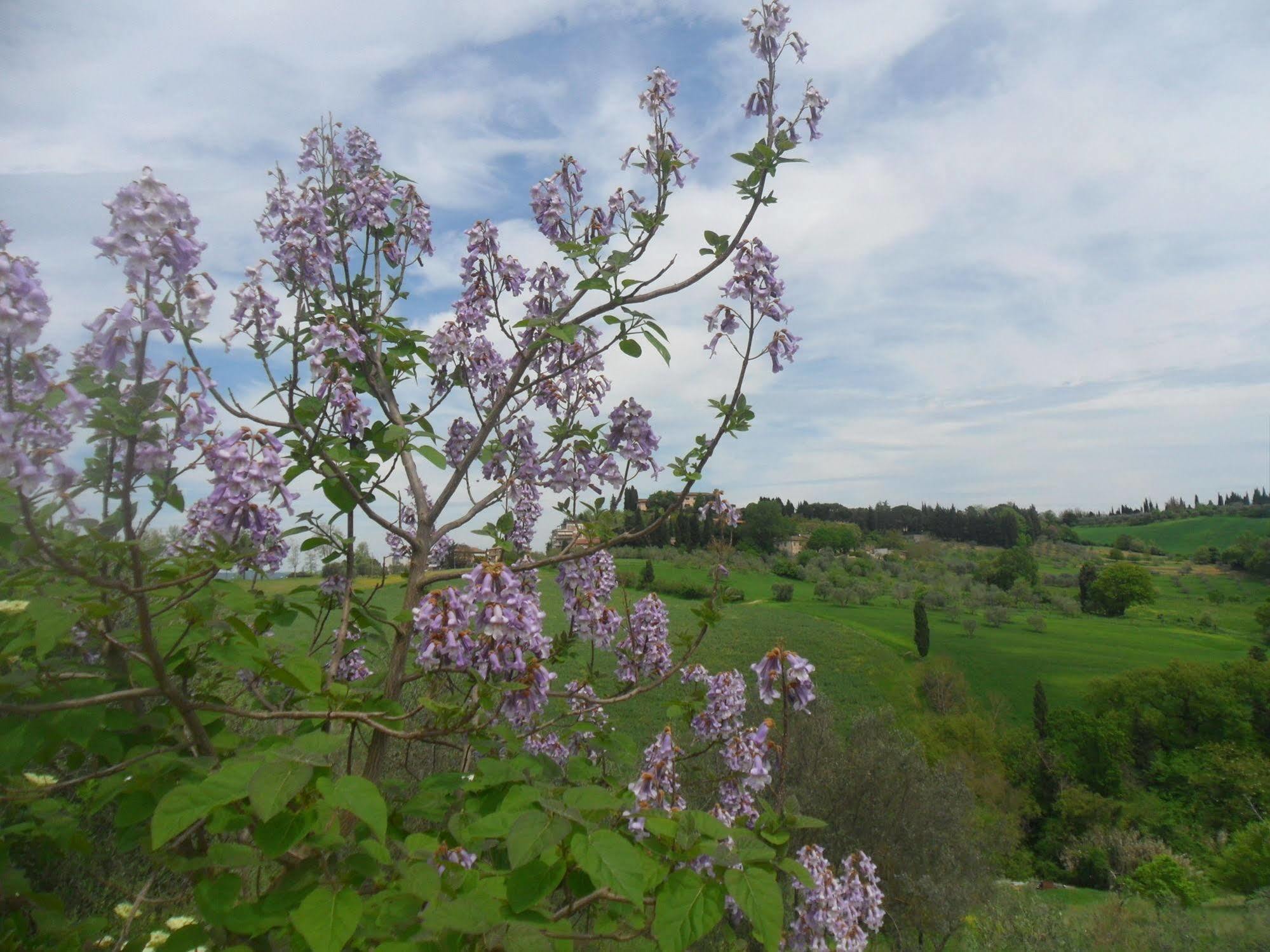 سيينا Fullino Nero Rta - Residenza Turistico Alberghiera المظهر الخارجي الصورة